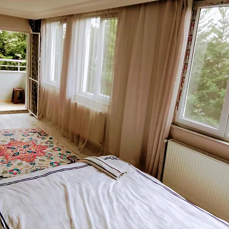 Frühstückspension Forest Villa-2 , 6 Minutes From The Airport *