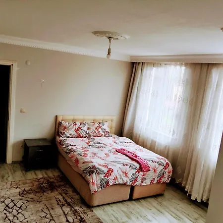 Forest Villa-2 , 6 Minutes From The Airport فندق مبيت وإفطار